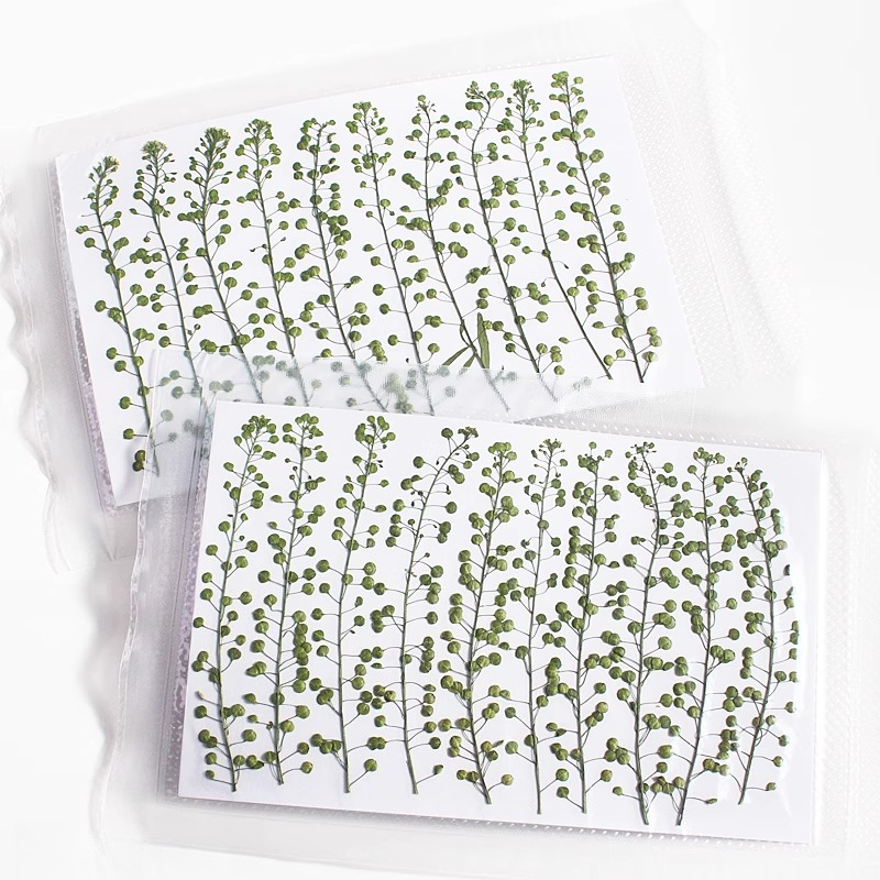 Campana verde de Color Natural - Resin Art Baby reseña y precio