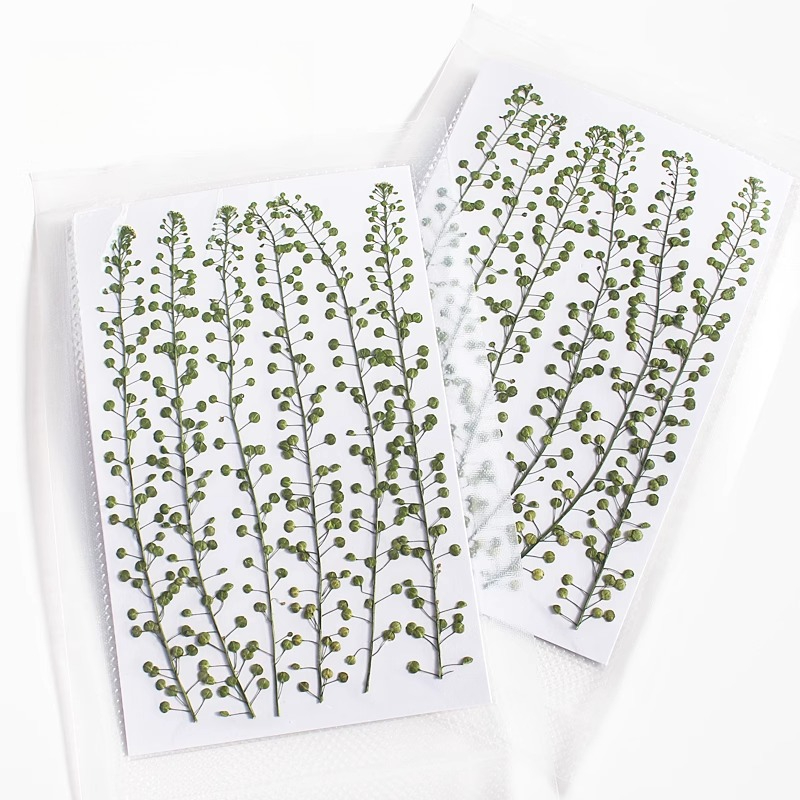 Campana verde de Color Natural - Resin Art Baby reseña y precio