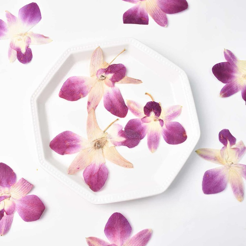 4 piezas, Flores de Orquídea M - Resin Art Baby reseña y precio