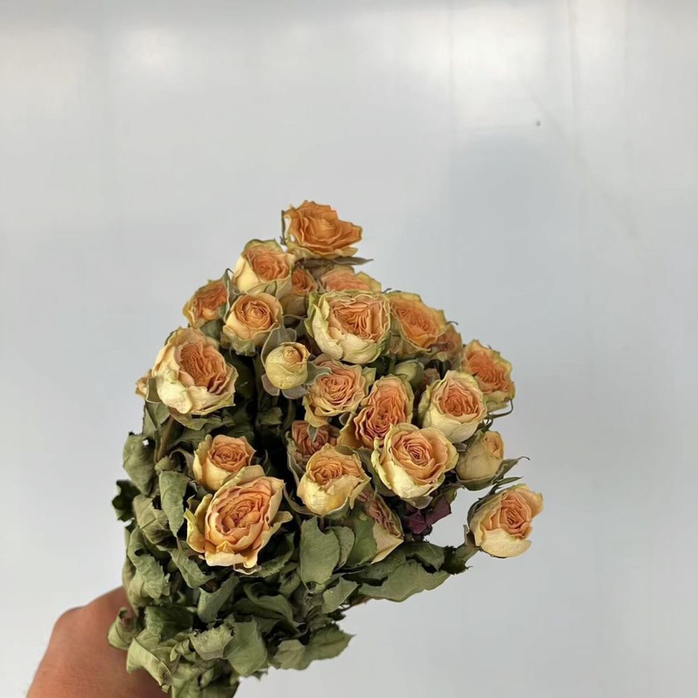 Rosas naturales preservadas, r - Resin Art Rose reseña y precio