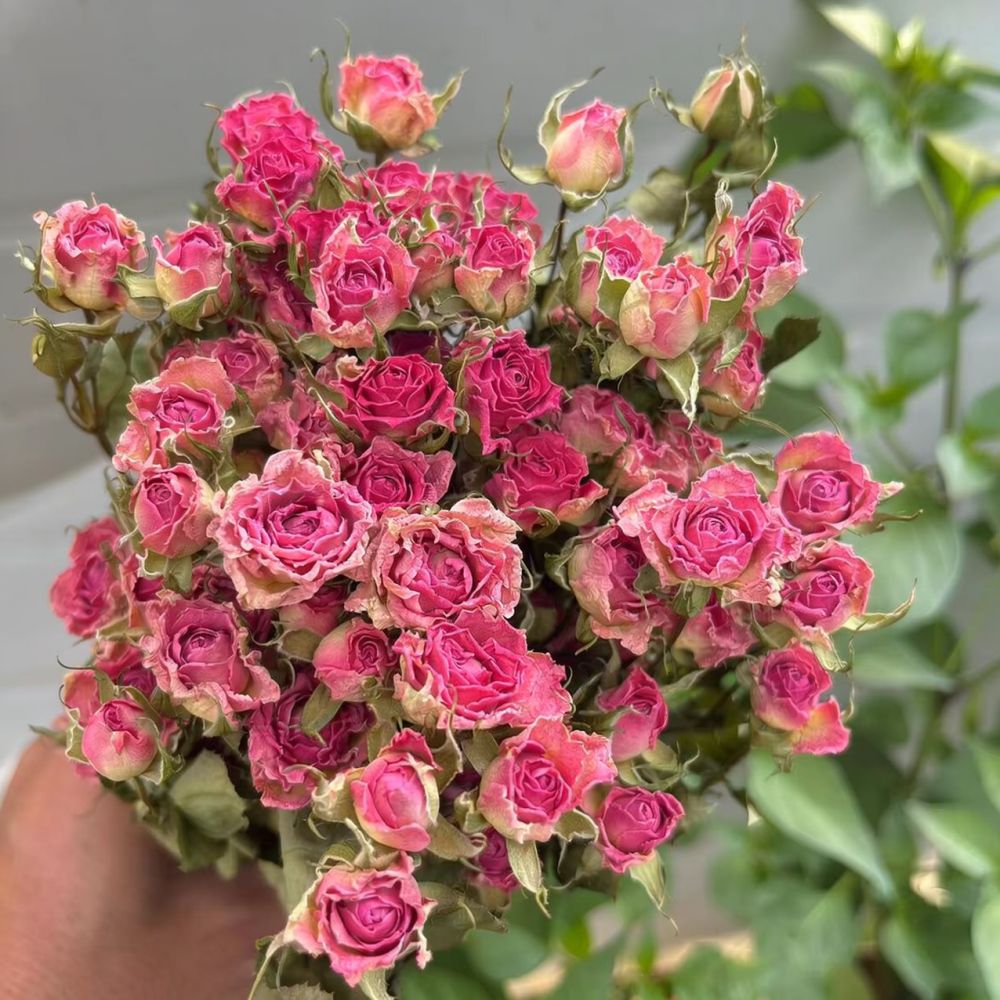 Ramo de flores de rosas secas  - Resin Art Rose reseña y precio